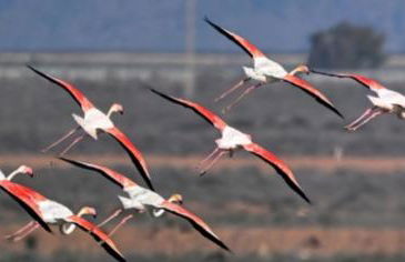 Vientos y Mares - Foto 25