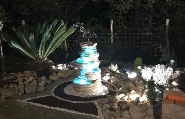 Il cipresso - Photo 16