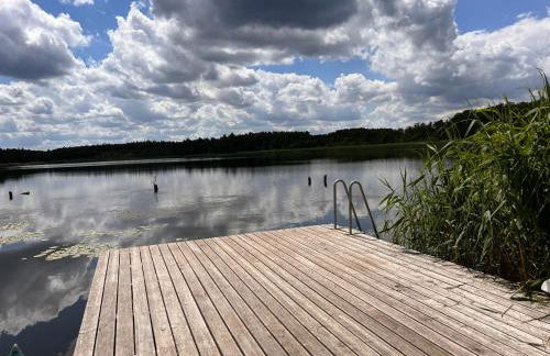 Nachtigall - Foto 38