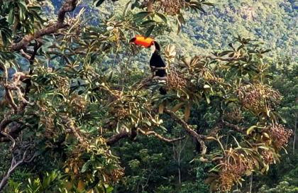 BioChalé Buena Vista - Foto 11