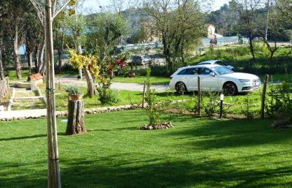 I Fiori nel golfo di Baratti - Foto 30