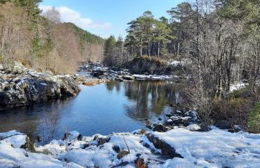 1 Bed Flat - Sleeps 4 - Garden - Parking - Wifi - Photo 10