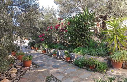 Aspra Chomata Villas - Foto 43