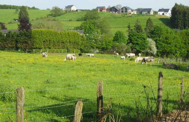 Seaside Comfort for Four - Photo 41