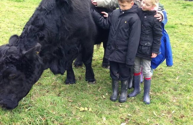 Cosy Stone Cottage on Llanllwni Mountain - Photo 15