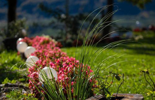 Double Paradise - Foto 61