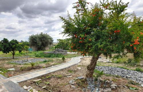 Moinho das Eiras - Foto 10