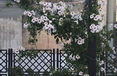 Green Palace - Foto 22