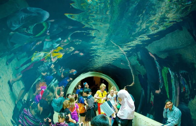 Paragon Apartments - Foto 48