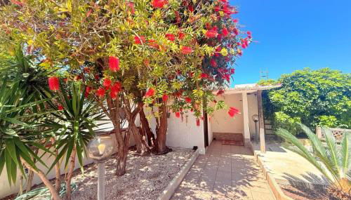 Villa Andrea "Vivi l'Oasi di Tranquillità" - Foto 4