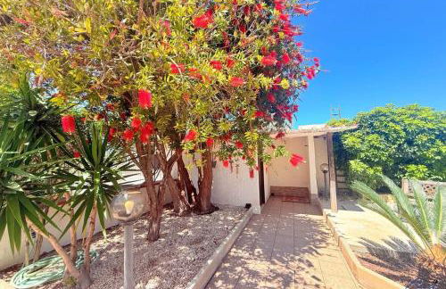 Villa Andrea "Vivi l'Oasi di Tranquillità" - Foto 4