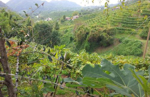 A casa di Albino e Giovannina - Foto 24