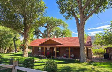 Pack Creek ~ Road House - Photo 1