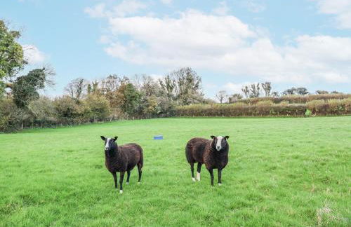 Swallow Cottage - Foto 23