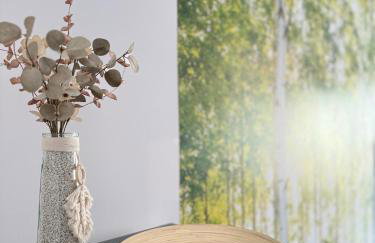 Green Harmony - Foto 9