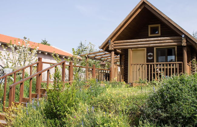 Dalia Barama - Photo 22