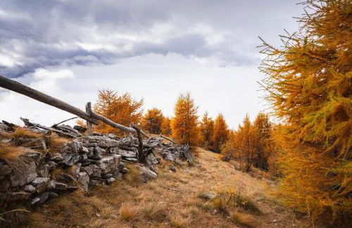 Dolomiten Home - Photo 23