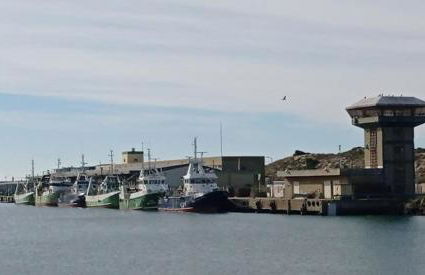 West coast dream Nazare - Foto 40