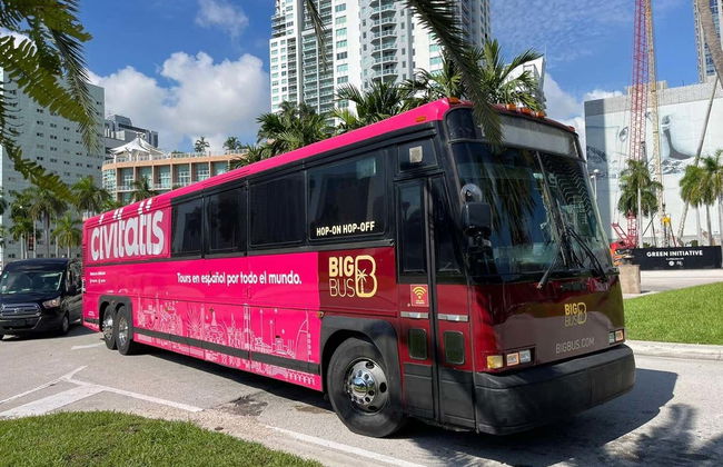 Excursión a los Everglades - Foto 4