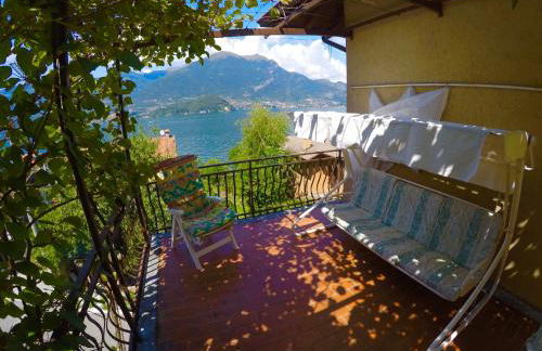 L'Agrifoglio - Foto 10