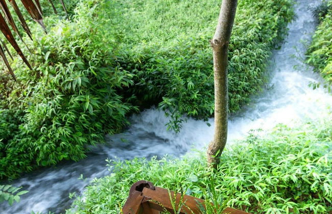 Thai House Pu Luong - Foto 28