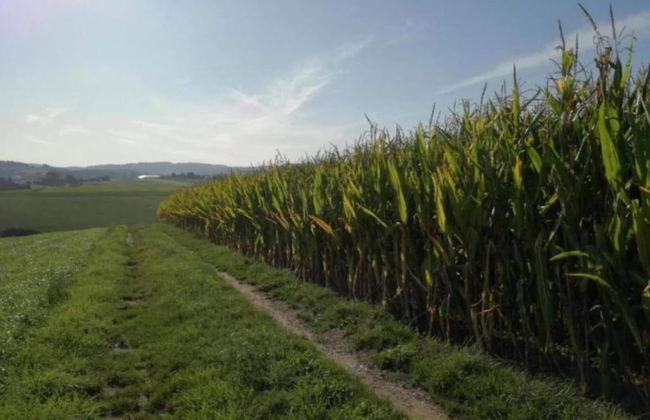 Gorgeous Holiday Home in Altenfeld Thuringia - Foto 61