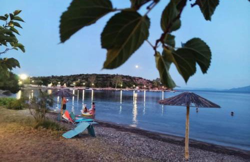 Alexander's - Foto 20