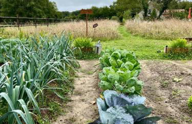 Maison Moz - Foto 32