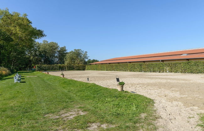 Cozy Holiday Home on a Horse Farm in the Luneburg Heath - Foto 72
