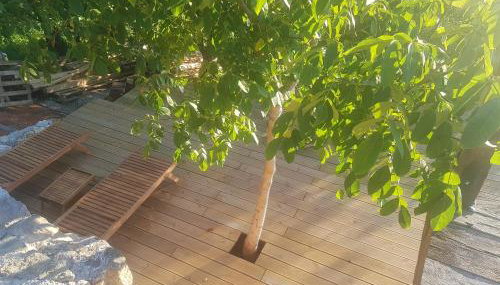 Brandy House Hedonica - Photo 4