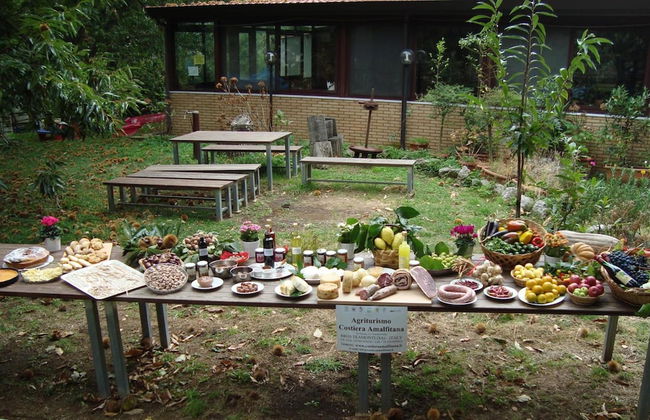 Agriturismo Costiera Amalfitana - Foto 33