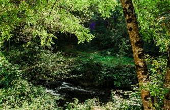 Casa Calma Rural - Foto 54