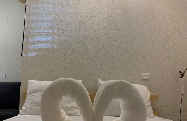 Maya Guest House-GermanColony&BahaiGardn - Foto 38