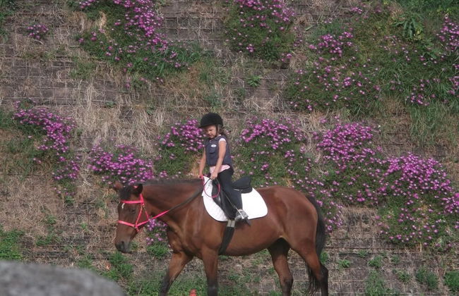 Agriturismo Le Giare - Foto 17