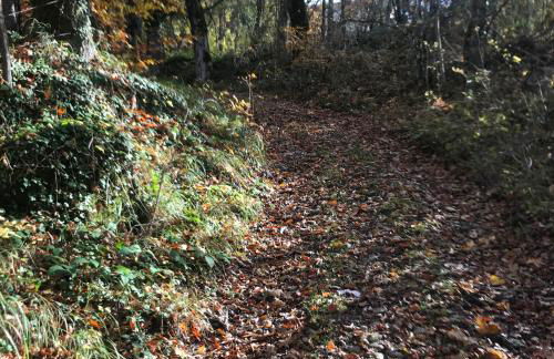 Tuscany Nature Relax - Photo 26