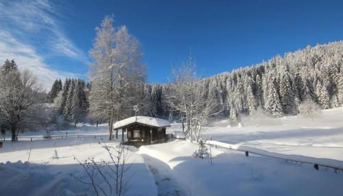 Gästehaus Seewald- Ferienwohnung 4 "Lärche", Schluchsee, Blasiwald - Foto 2
