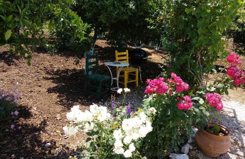 Villa Maria - Photo 48