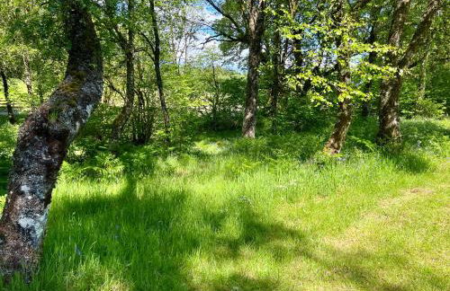 Fern Lodge - Foto 34