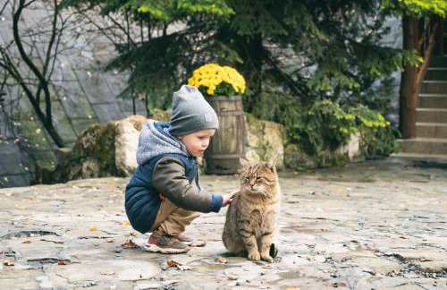 Bacówka Biały Jeleń - Photo 54