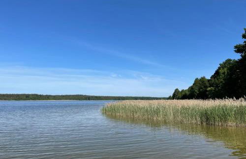 Holiday Home Wald und See by Interhome - Photo 23