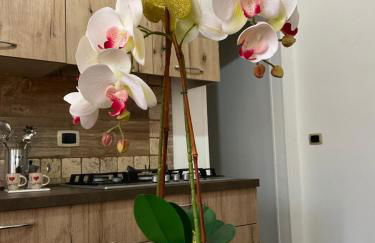 La Terrazza di Rovaglioso - Photo 44