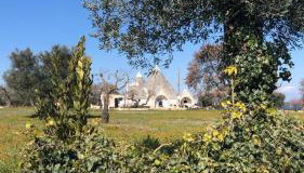 Trullincanto Monopoli by JD Collection - Foto 5, Garden view