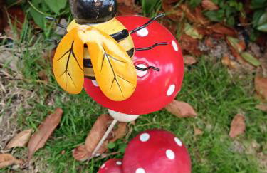 The Viewpoint - Foto 44