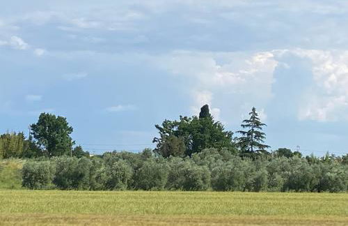 Accanto a Firenze - Foto 41