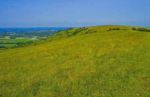 The Hive - Uk44558 - Foto 10