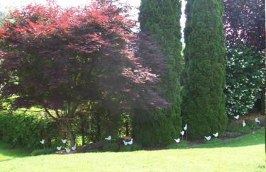 Gîte de grettery - Foto 6