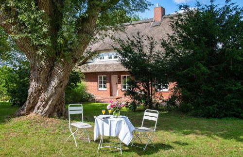 Reetdachhaus direkt am Wasser - Foto 7