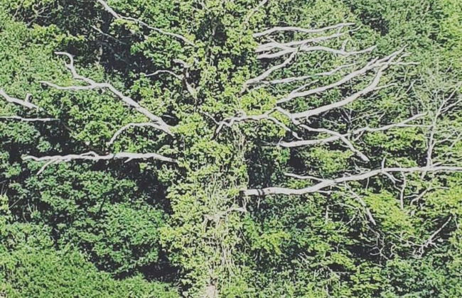 Spacious Holiday Home in Doische With Private Pool - Foto 47