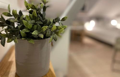 Weberhof - Münster 6 - Foto 50