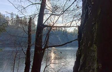 Chatka Mechatka - Foto 17